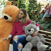 желания слабого пола :: Олег Лукьянов