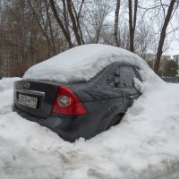 Подснежник :: юрий поляков