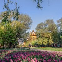 Весенняя симфония в парке Южный :: Игорь Сарапулов Весенняя симфония в парке Южный :: Игорь Сарапулов