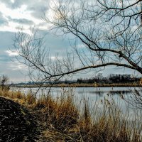 Весна. :: Владимир 