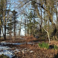 Солнечный день марта 2026г. :: Aida10 