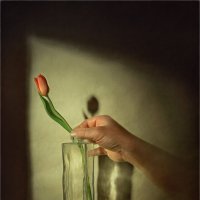 Дорогие дамы! Счастья, любви, красоты Вам...! :: Oleg Rastorguev