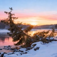 вечерело..... :: Ольга Cоломатина