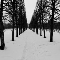 *** :: веселов михаил 