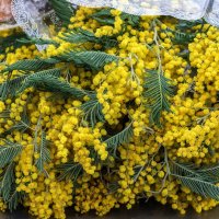 С наступающим, Дорогие женщины !!! :: Анатолий. Chesnavik. С наступающим, Дорогие женщины !!! :: Анатолий. Chesnavik.