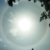 гало :: shasha1950 