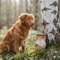 весна :: Ēriks 