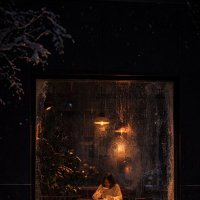 Зимой :: Евгений Анисимов