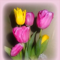 С праздником весны, дорогие женщины! :: Наталья ***