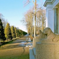 Каменные львы, март. :: VasiLina *