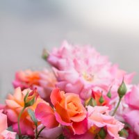 С праздником, милые дамы! :: Игорь Шевченко