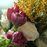 Всех девочек, с Праздником!) :: Андрей Всех девочек, с Праздником!) :: Андрей