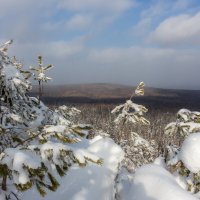 На вершине :: Евгений Тарасов 