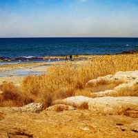 Каспий :: Анатолий Чикчирный