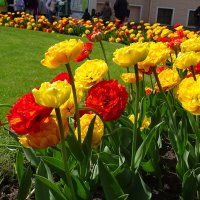 С международным женским днем! :: Anna-Sabina Anna-Sabina