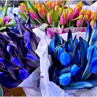 Праздничные букеты. :: Валерия Комова