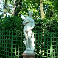 ПИТЕР. :: Виктор Осипчук