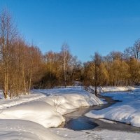 Весна набирает обороты ..... :: Андрей Дворников
