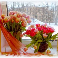 Всех женщин с 8 марта! :: Лия ☼ Всех женщин с 8 марта! :: Лия ☼