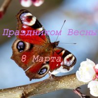 С Праздником Весны! :: Александр Прокудин