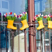 Всех Женщин - с Праздником 8 Марта!!! :: Владимир Звягин