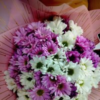 Цветов  много не бывает! :: Надежда 