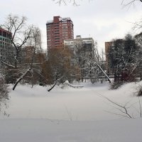 Старый пруд Аптекарского огорода в конце февраля. :: Татьяна Помогалова