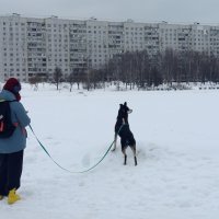 Впередсмотрящий (но, может, и ВБОКсмотрящий) :: Андрей Лукьянов