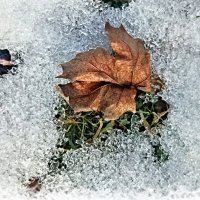 Встретились ) :: Veera V