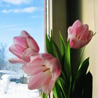 Нежный букетик :: Людмила Смородинская