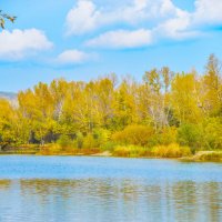 Осенние берега. :: юрий Амосов