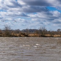 Беларусь, река Днепр :: Игорь Сикорский