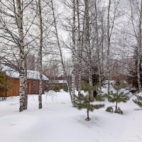 А за городом зима... :: Татьяна Тюменка