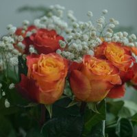 С праздником ! :: Николай 