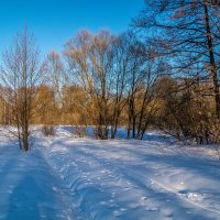 Весна набирает обороты 2 :: Андрей Дворников
