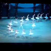 ПИТЕР, Лебединое озеро. :: Виктор Осипчук