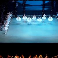 ПИТЕР, Лебединое озеро. :: Виктор Осипчук