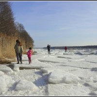 *** :: Aleksandr Gal