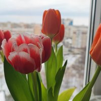 ,,, :: Сергей Тимоновский