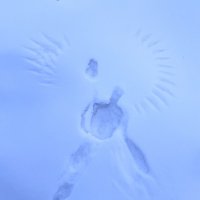 Следы птицы на снегу :: Галина Минчук