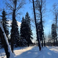 Подмосковье :: Андрей Л. В.