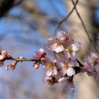 Дорогу! :: Всеволод 