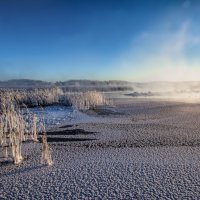 Утренний мороз :: Vladimbormotov 