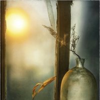 *** :: Oleg Rastorguev