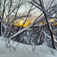 На закате :: Денис Масленников