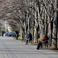 Весна... :: Николай Саржанов Весна... :: Николай Саржанов