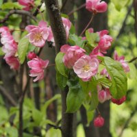 Весенние краски :: Мария К. Весенние краски :: Мария К.