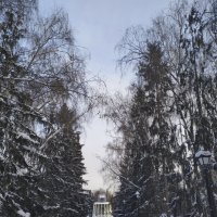 Екатеринбург.Дендрологический парк. :: Александр Николаев