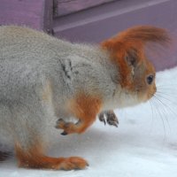 она следила за мной... :: Savayr 