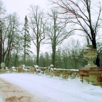 Из зимних прогулок :: VasiLina *